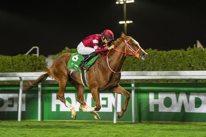 Howden Neom Turf Cup Group 1 status announcement