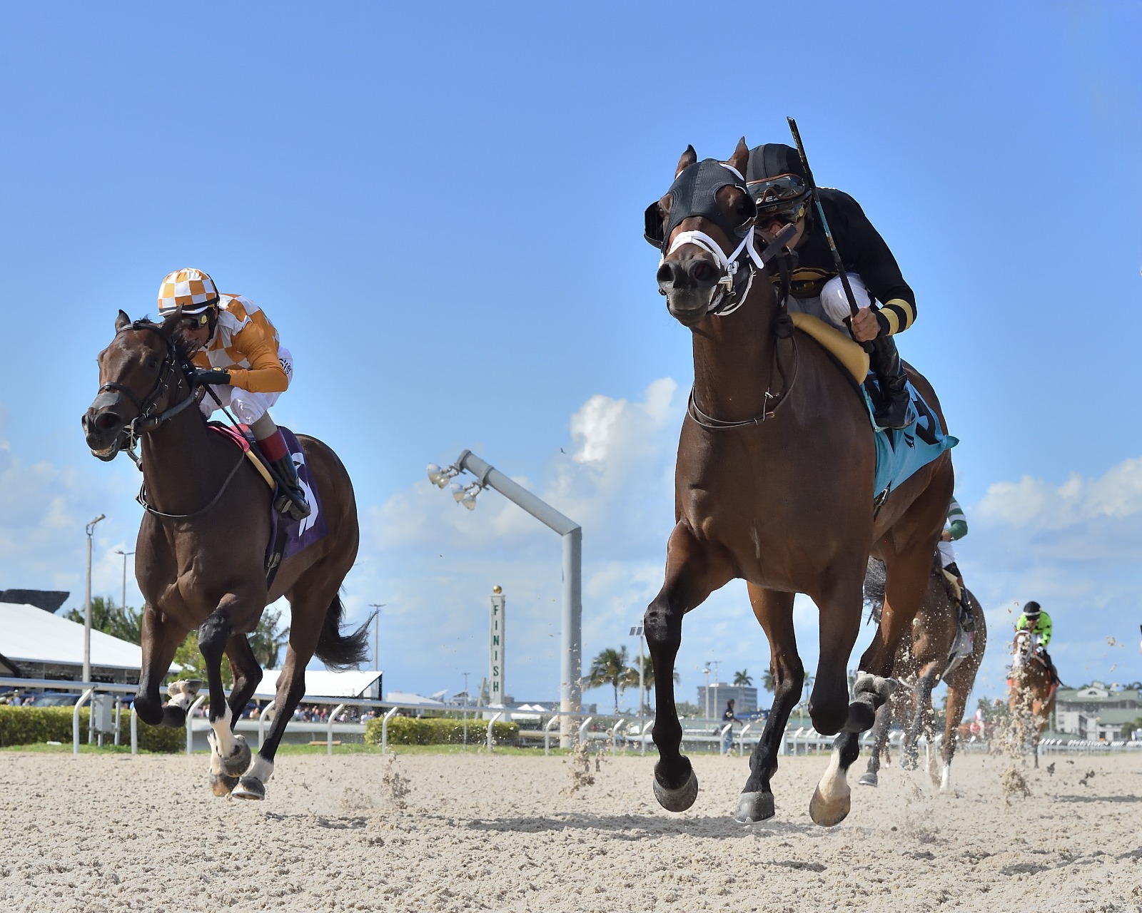 Gulfstream Park Race Card 30 November horses lineup and jockeys