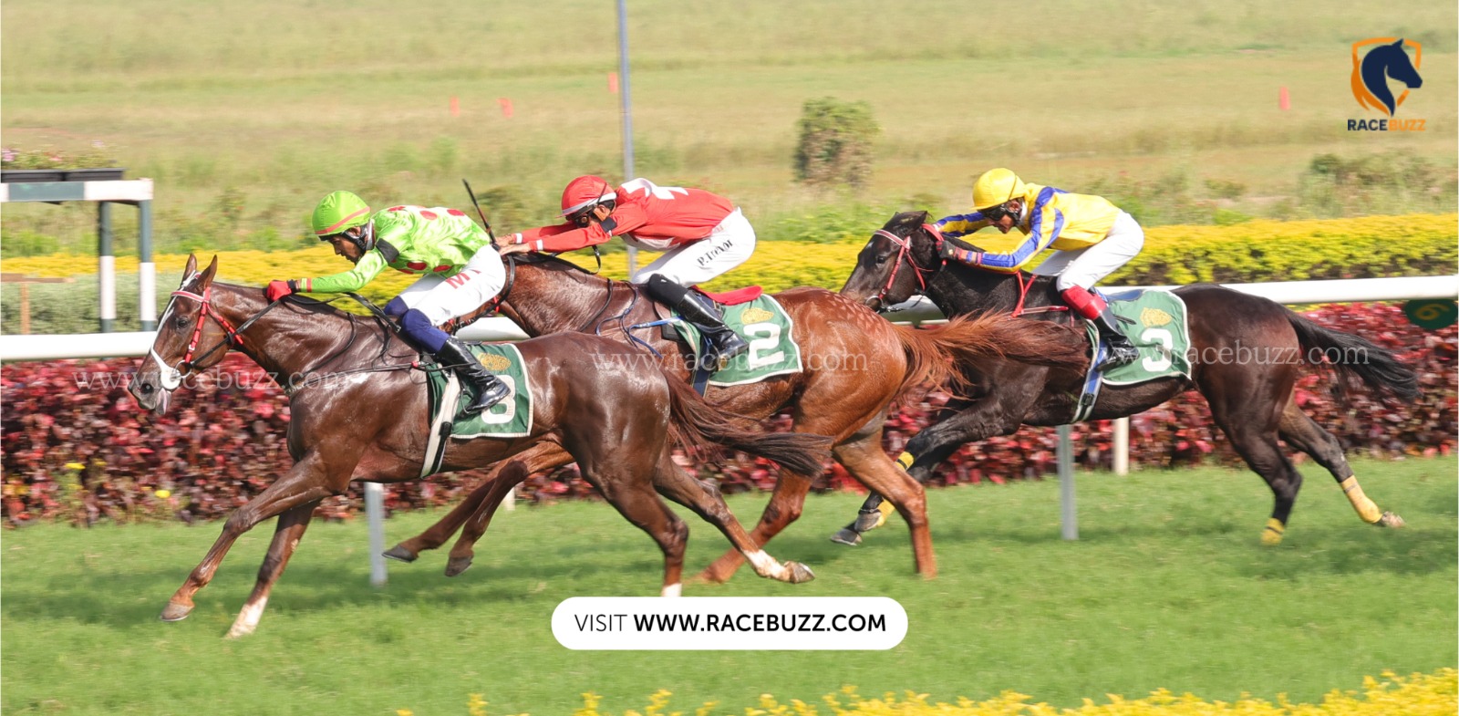 Horses racing at Pune Race Club during the 2 November 2025 meeting under RWITC