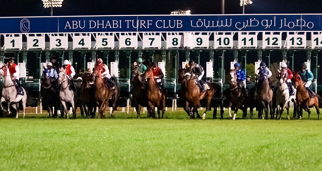 HH The President Cup Prep 2025 at Abu Dhabi Turf Club – thrilling Purebred Arabian horse racing with AED 111,000 prize