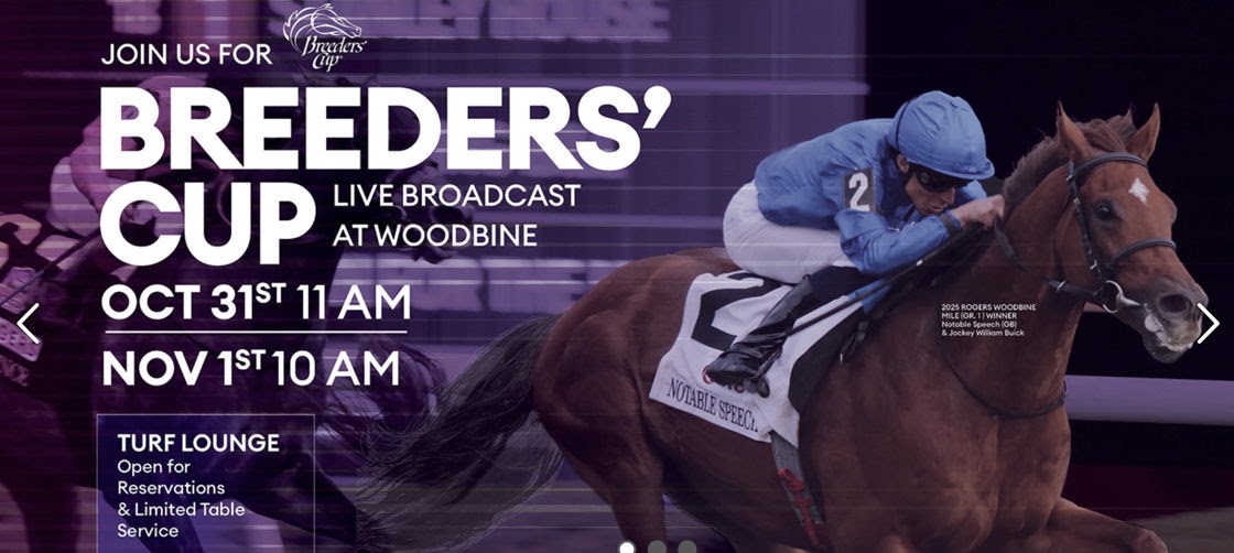 Fans watching and wagering on the Breeders’ Cup at Woodbine Racetrack