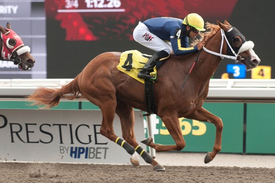 Woodbine Thoroughbred race night 2025 under lights featuring eleven competitive races