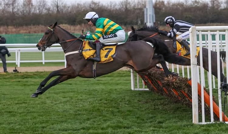 Horses race under twilight at Newcastle Racecourse during the November 2025 flat meeting