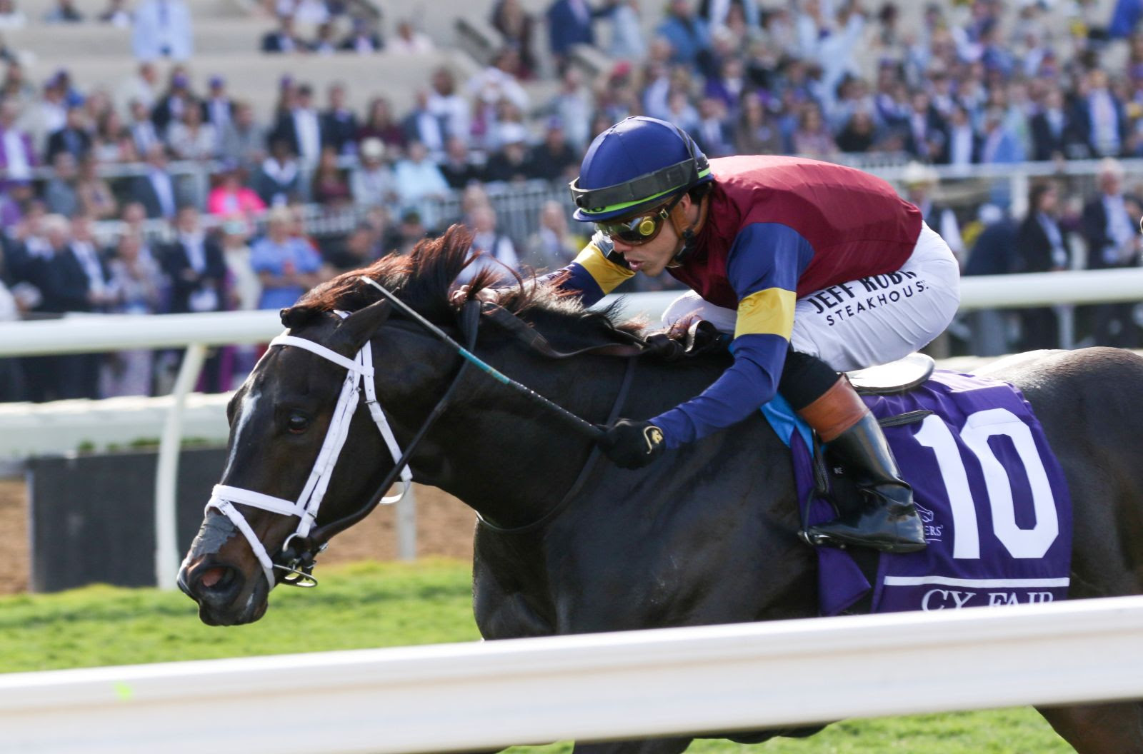 Cy Fair winning the Breeders’ Cup Juvenile Turf Sprint at Del Mar