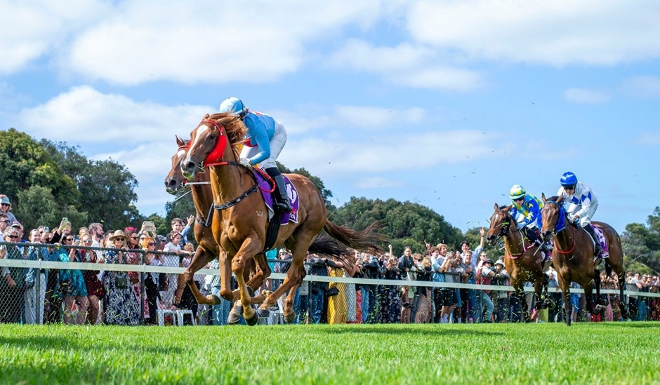Horses racing at Albany Racecourse during the Midweek Meeting 2025 in Western Australia