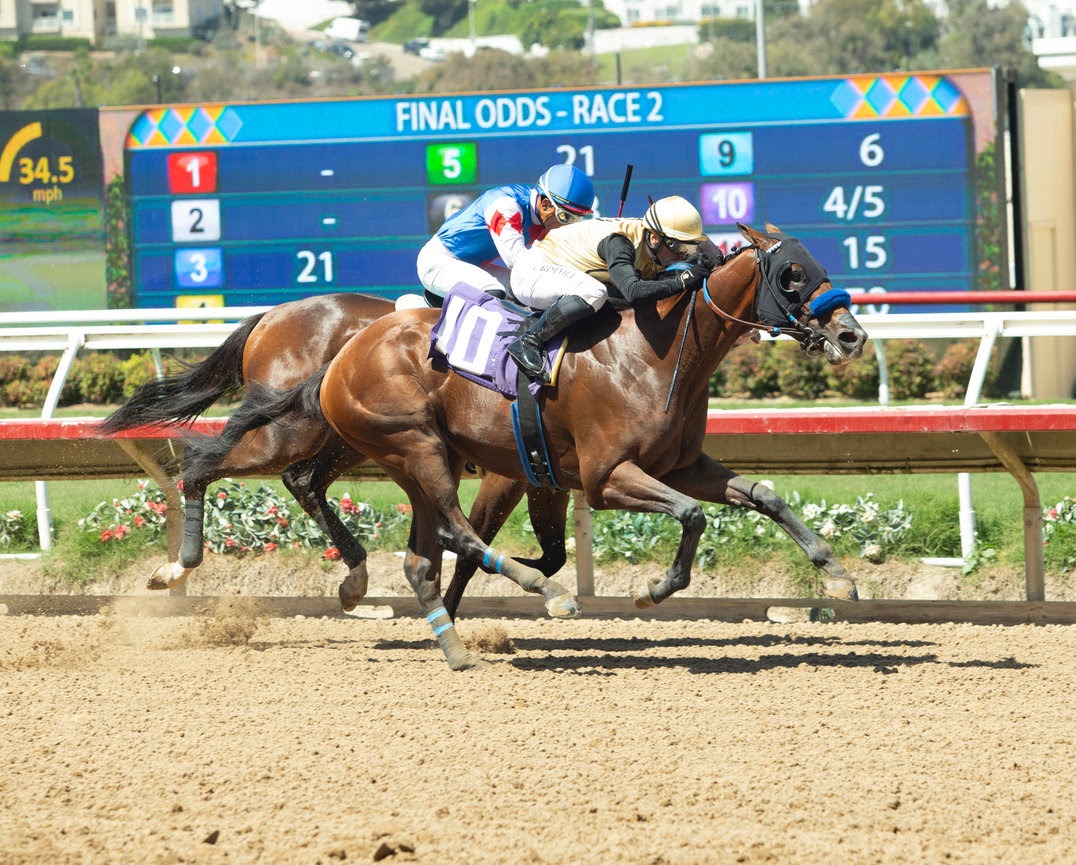 Ocean Bear races towards victory at Santa Anita Park