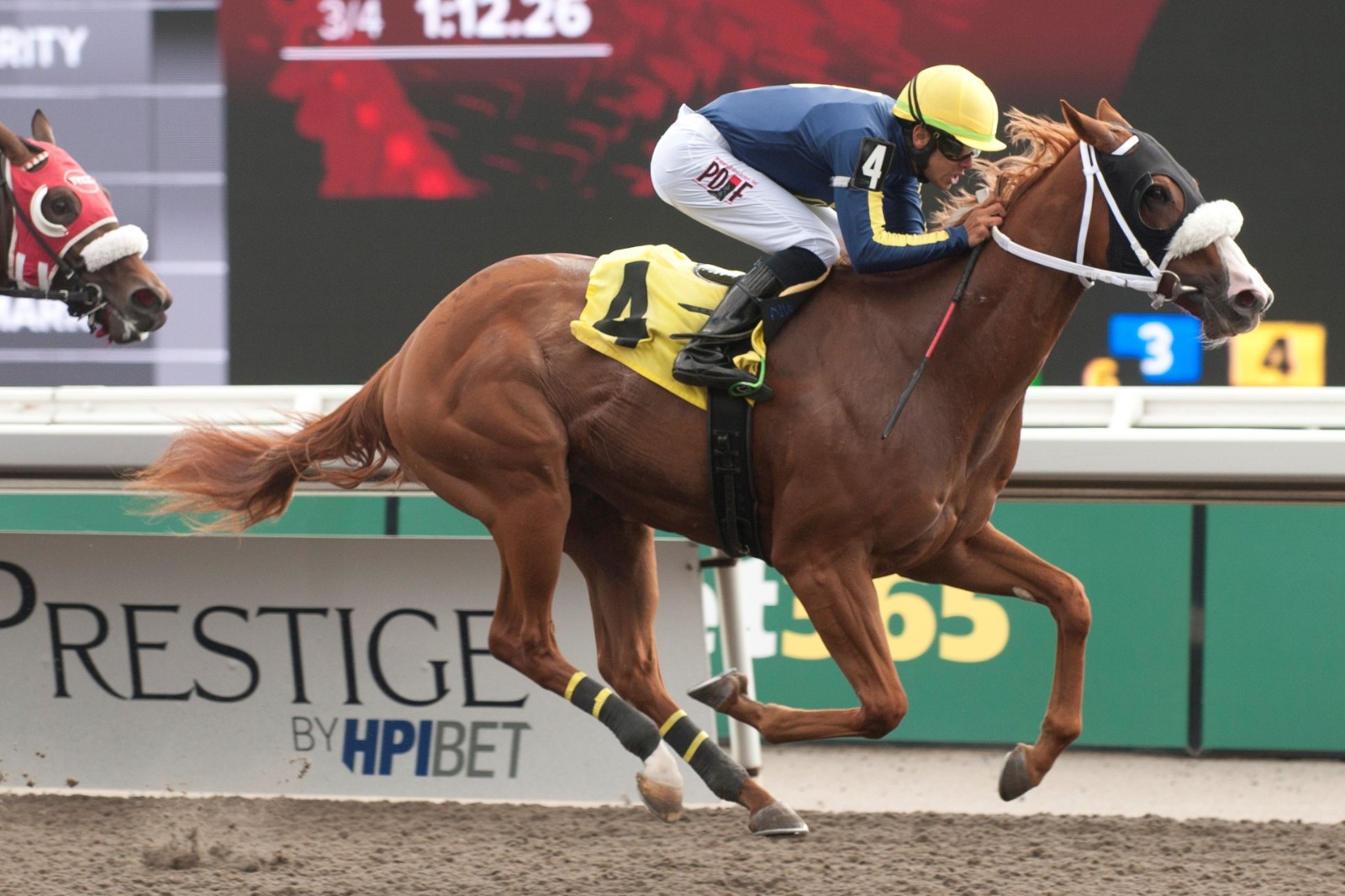 Gone With Duwyn trains ahead of the Grade 3 Grey Stakes at Woodbine