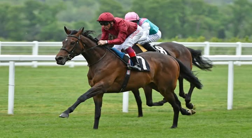 Horses jumping fences during Ascot Racecourse autumn jumps meeting 2025