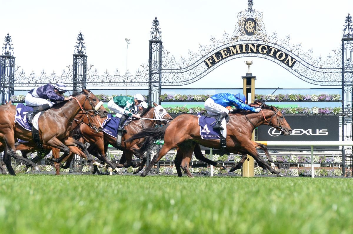 VRC Oaks contender Morisu Ojo headlines Inglis Digital November Sale