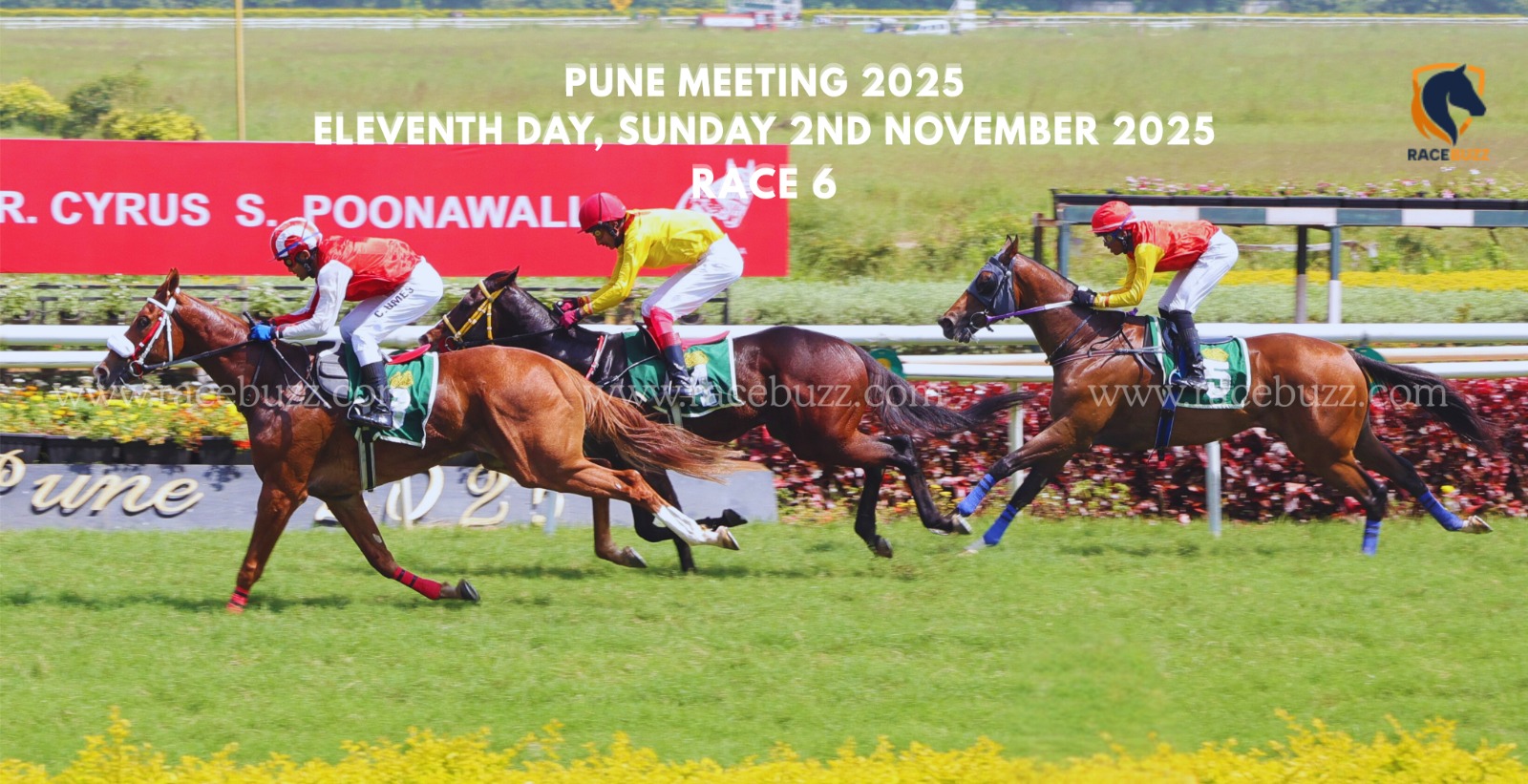Starlight Serenade wins The Mayor Baburao Sanas Memorial Million at Pune