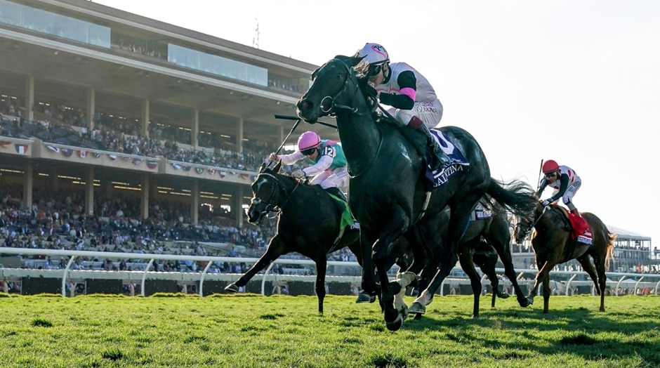 Horses jump a fence during the Cork Grand National at Cork Racecourse 2025