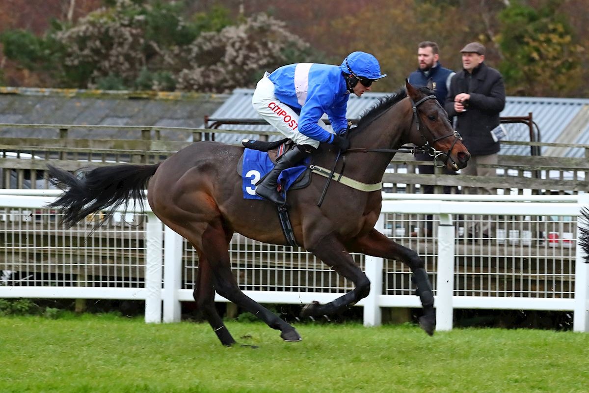 Brendan Powell riding JPR One in the Haldon Gold Cup at Exeter
