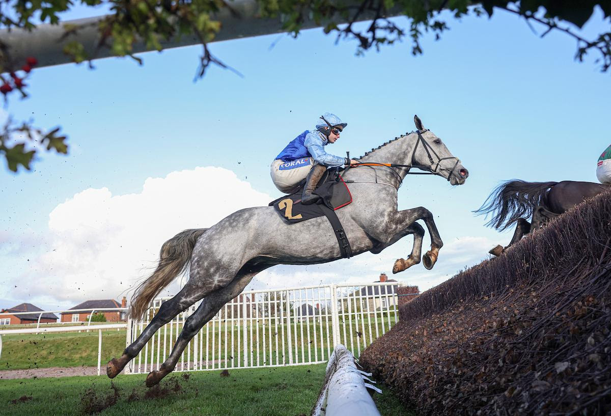 Resplendent Grey wins Colin Parker Memorial Chase at Carlisle