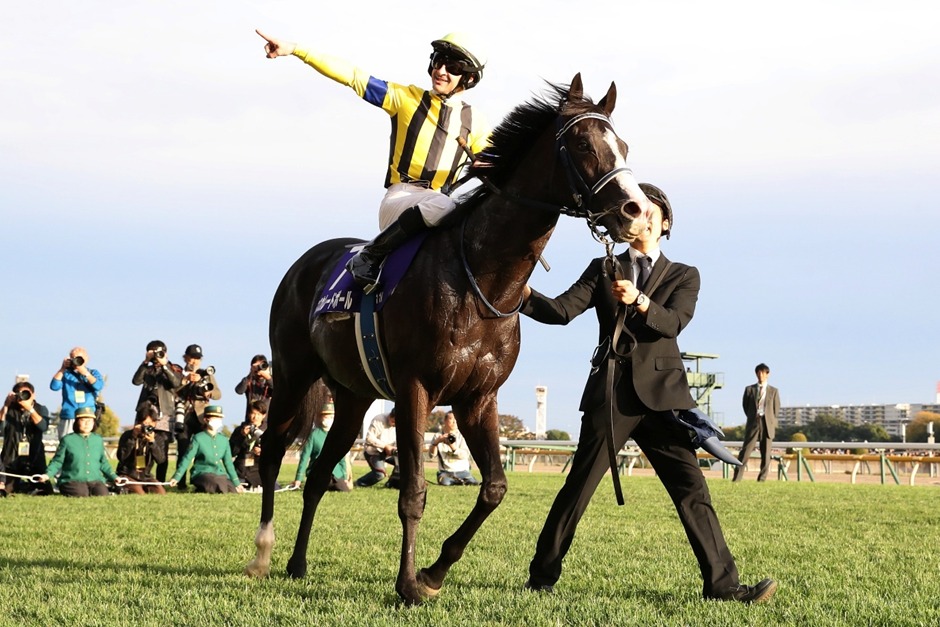 Christophe Lemaire winning the Tenno Sho (Autumn) 2025 at Tokyo Racecourse