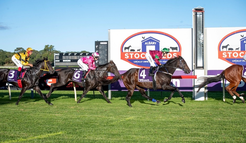 Albany Racecourse 2025 meeting highlights and race winners on November 2
