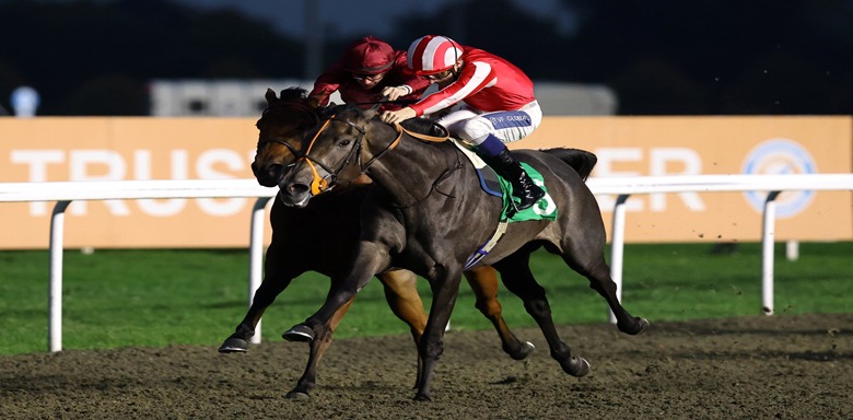 Kempton Park Racecourse floodlit evening racing