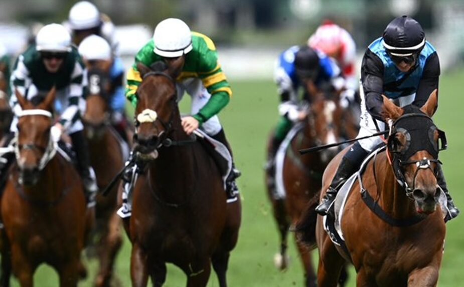 Dundalk Stadium floodlit all-weather horse racing action
