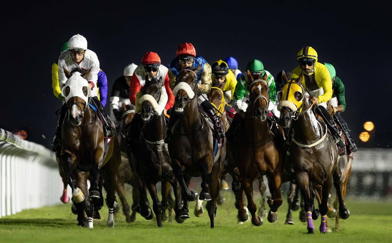 Rowdat Rashid Cup 2025 at Al Rayyan Racecourse under lights