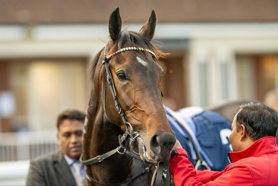 Horses racing at Lingfield Park during the November 4 All-Weather meeting