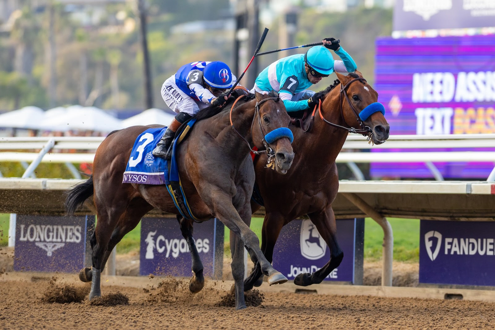 Breeders’ Cup runners from Del Mar return home after successful weekend