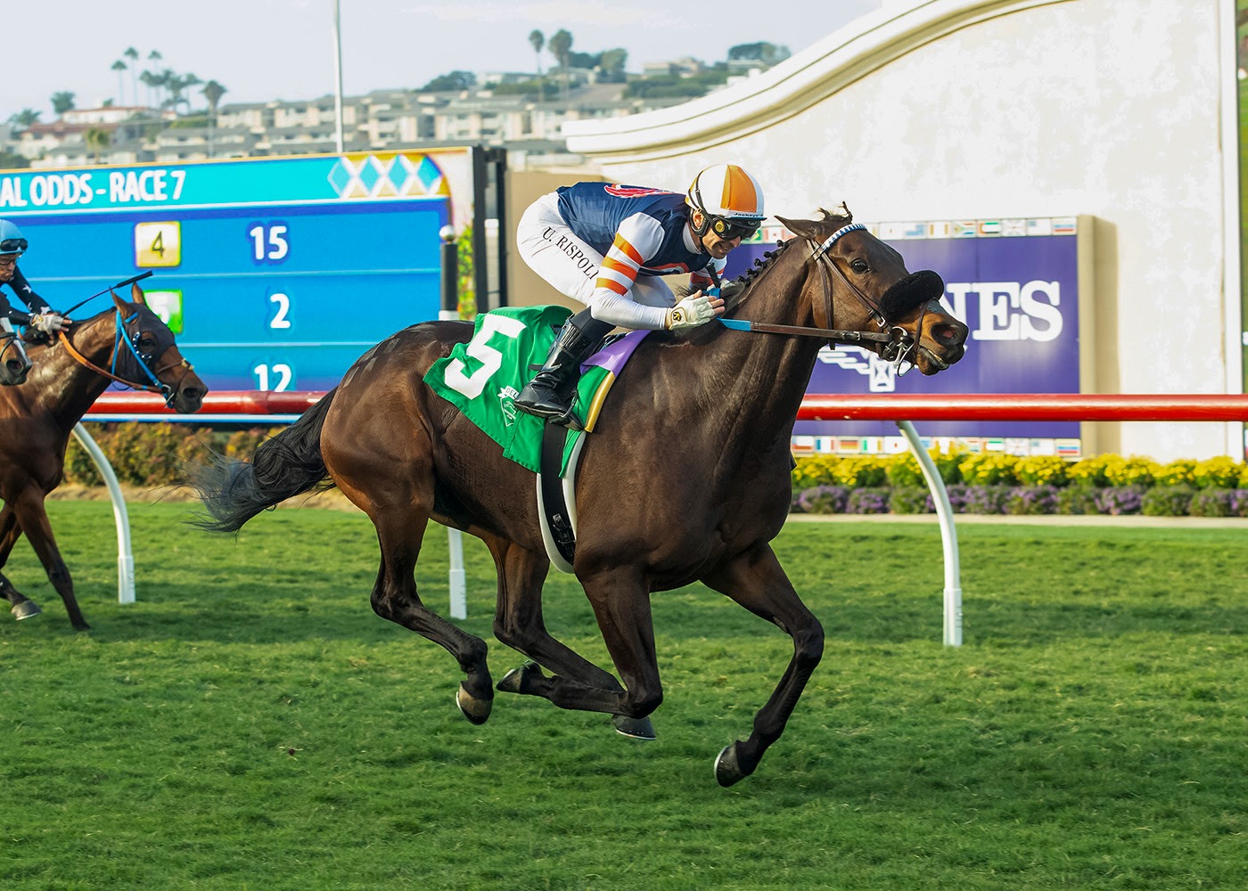 Balnikhov winning the $100,000 Del Mar Turf race under Umberto Rispoli