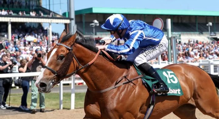 Newcastle Racecourse November 2025 meeting preview featuring and Midnite-sponsored races