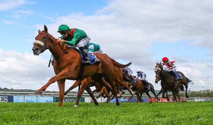 Deauville Racecourse horses racing on the Polytrack during the Deauville Race Preview 2025