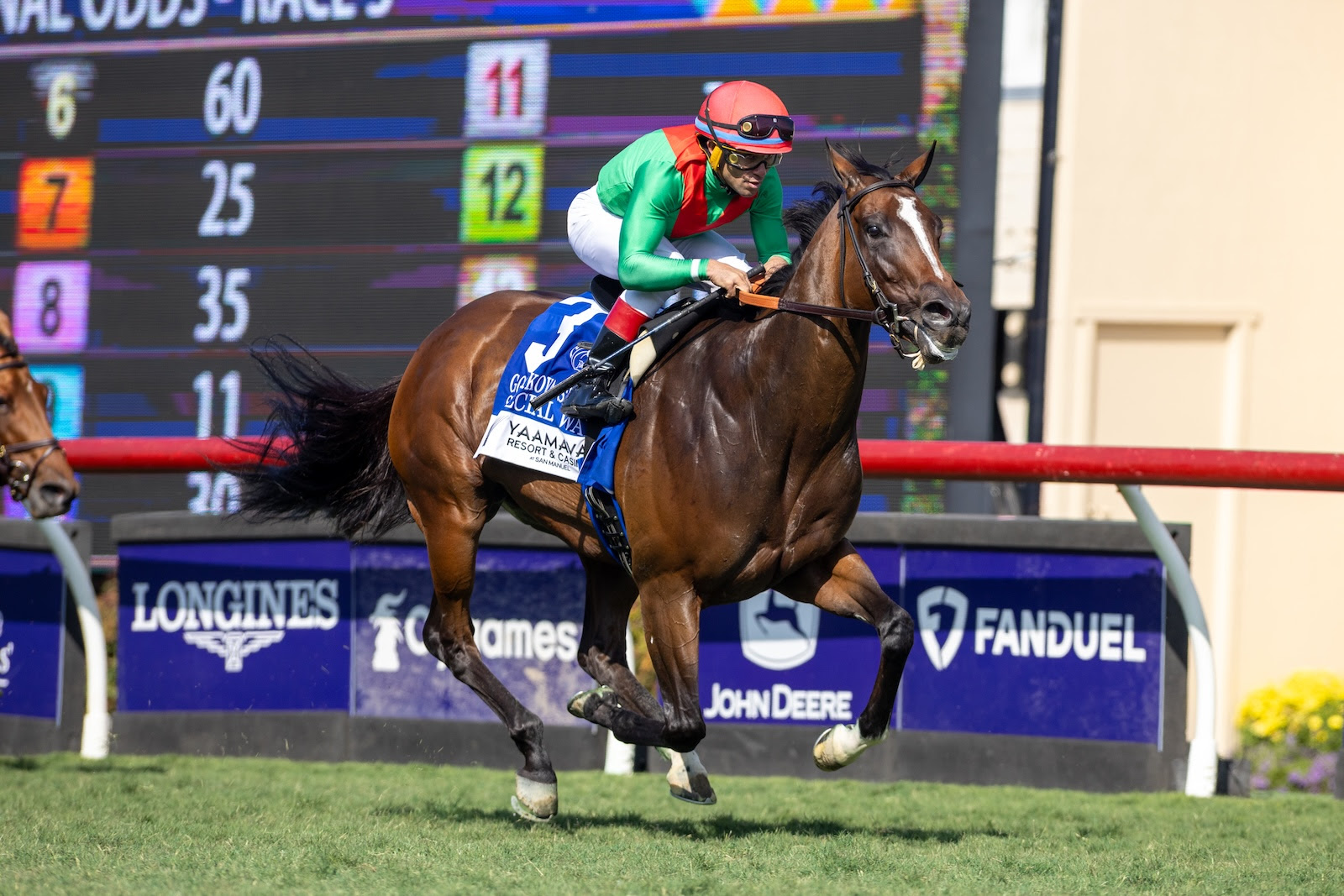 Special Wan wins the 2025 Goldikova Stakes at Del Mar under Joel Rosario