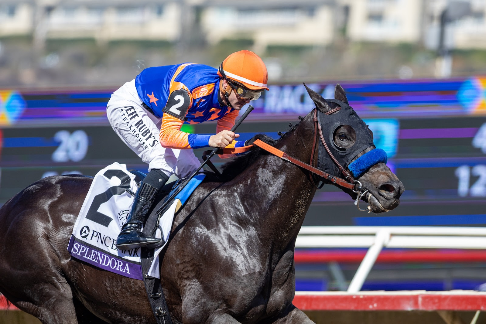 Splendora wins Breeders’ Cup Filly & Mare Sprint 2025 at Del Mar