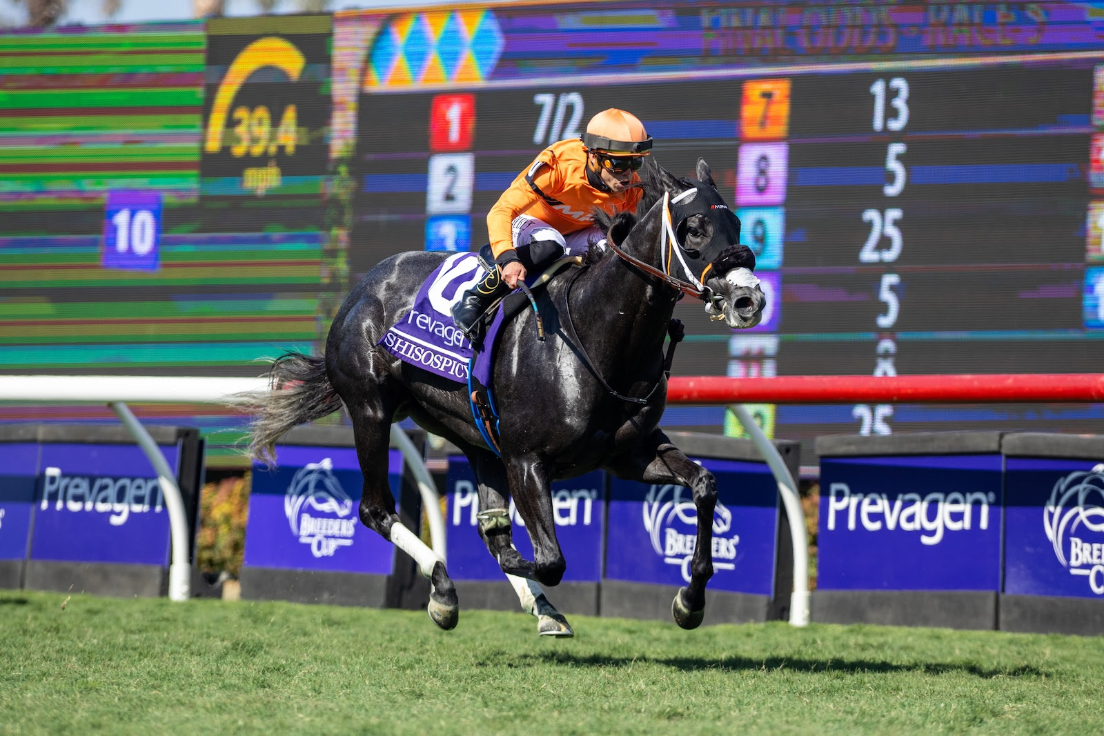 Shisospicy wins Breeders’ Cup Turf Sprint at Del Mar under Irad Ortiz Jr.