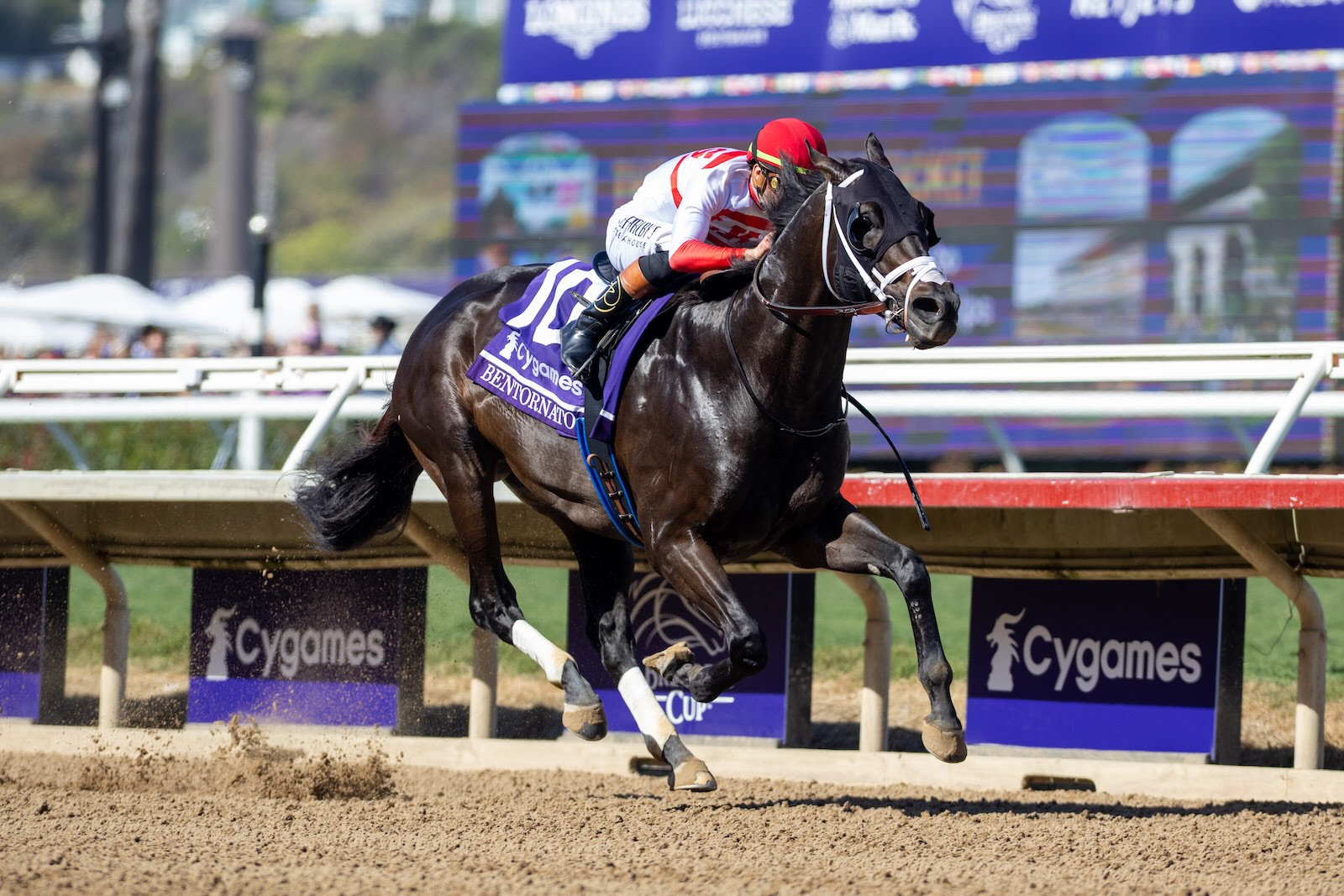 Bentornato wins the 2025 Breeders’ Cup Sprint at Del Mar under Irad Ortiz Jr.