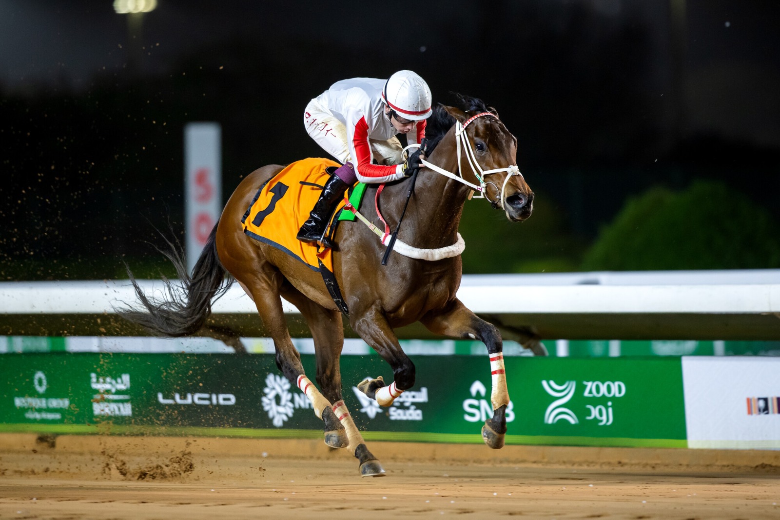 Ministry of Defense Cup 2025 featuring elite local bred horses racing at King Abdulaziz Racecourse, Riyadh