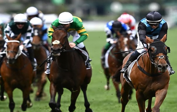 Dundalk Racecourse night racing under the lights during the 2025 Friday card