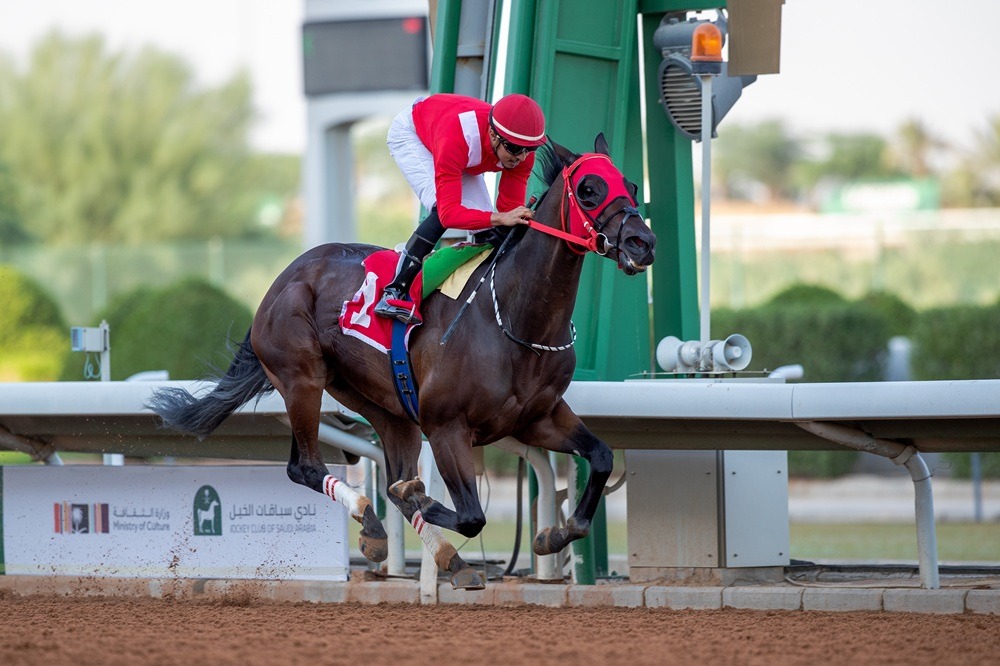 Horses racing under Riyadh lights during the Public Security Cup 2025 at King Abdulaziz Racecourse