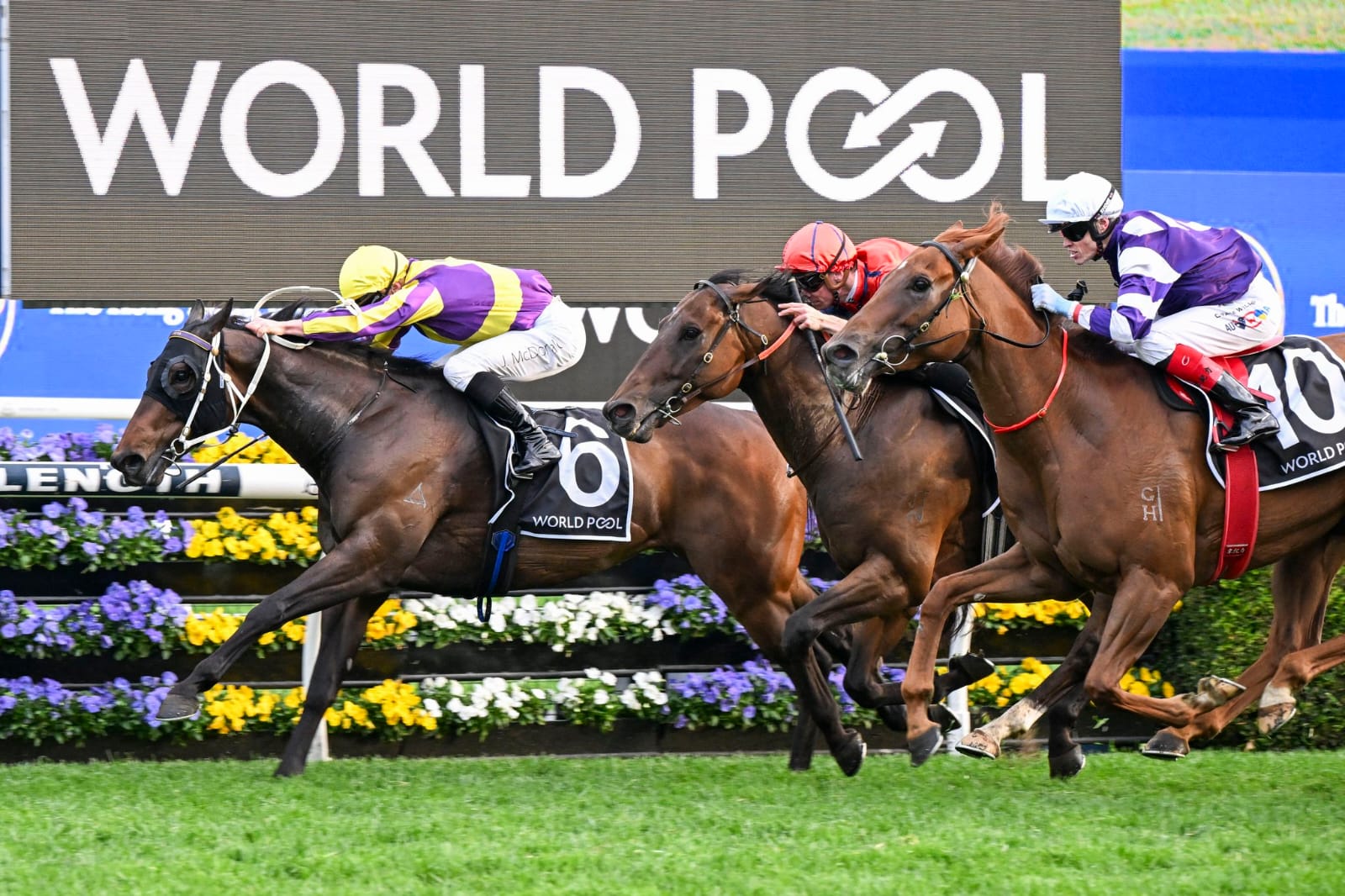 Horses race at Rosehill Gardens during the $2 million Five Diamonds Ladies Day 2025, Sydney Spring Racing Carnival.