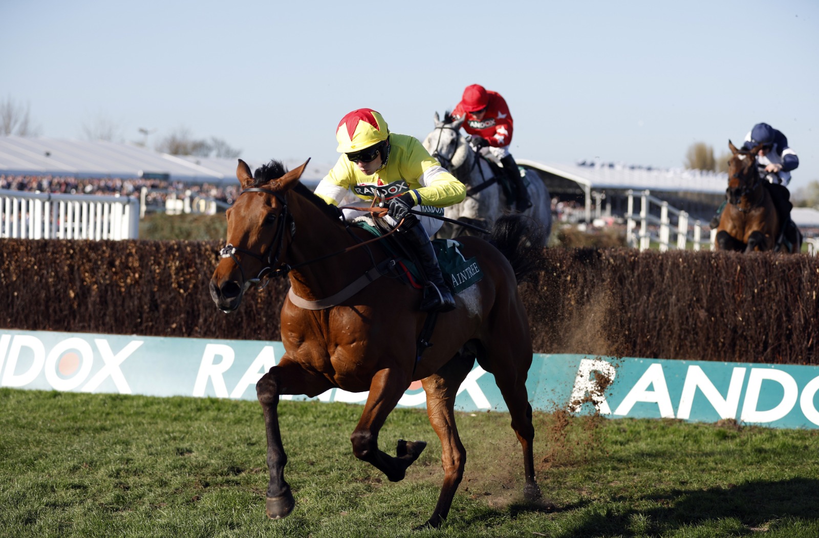 Kalif du Berlais in action at a previous race, preparing for the Haldon Gold Cup at Exeter