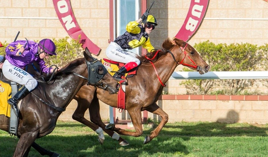 Northam Racecourse 6th November 2025 – action-packed horse racing day