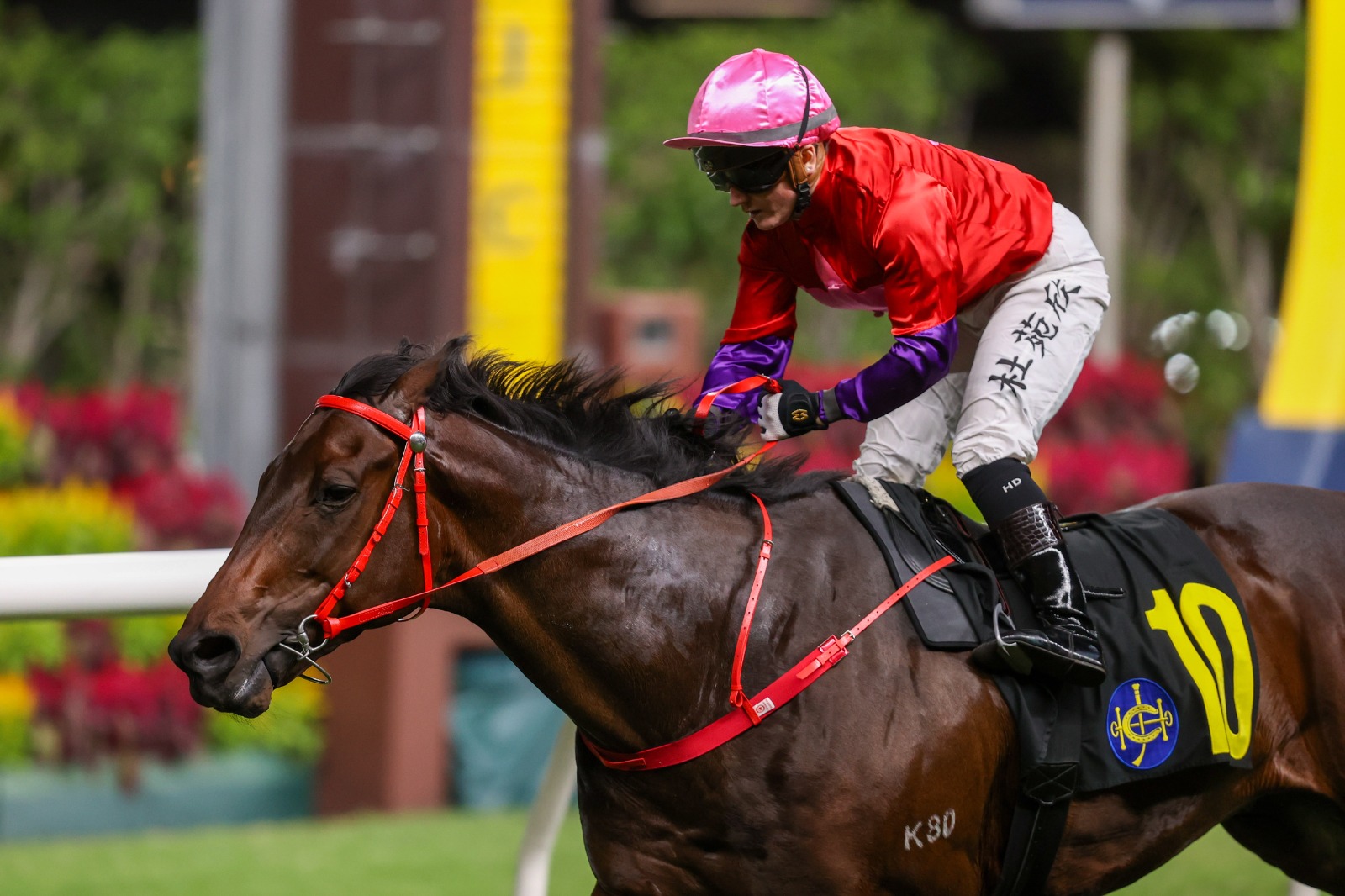 Hollie Doyle riding Run Run Smart to victory at Happy Valley