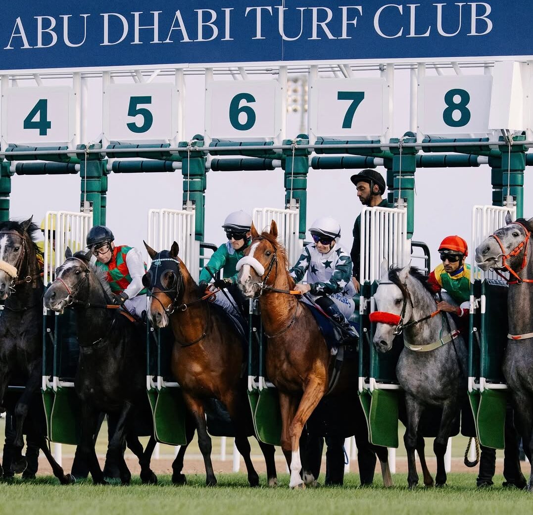 Wathba Stallions Cup 2025 at Abu Dhabi Turf Club