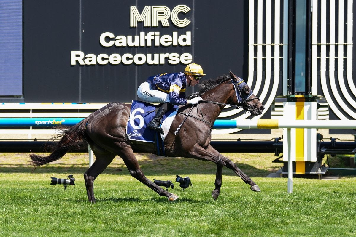 Triple Group winner Coeur Volante announced for Inglis Digital Spring Boutique Sale