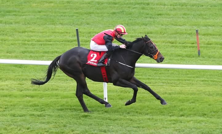 Horses in action at Gowran Park Racecourse during the National Hunt meeting on November 8, 2025