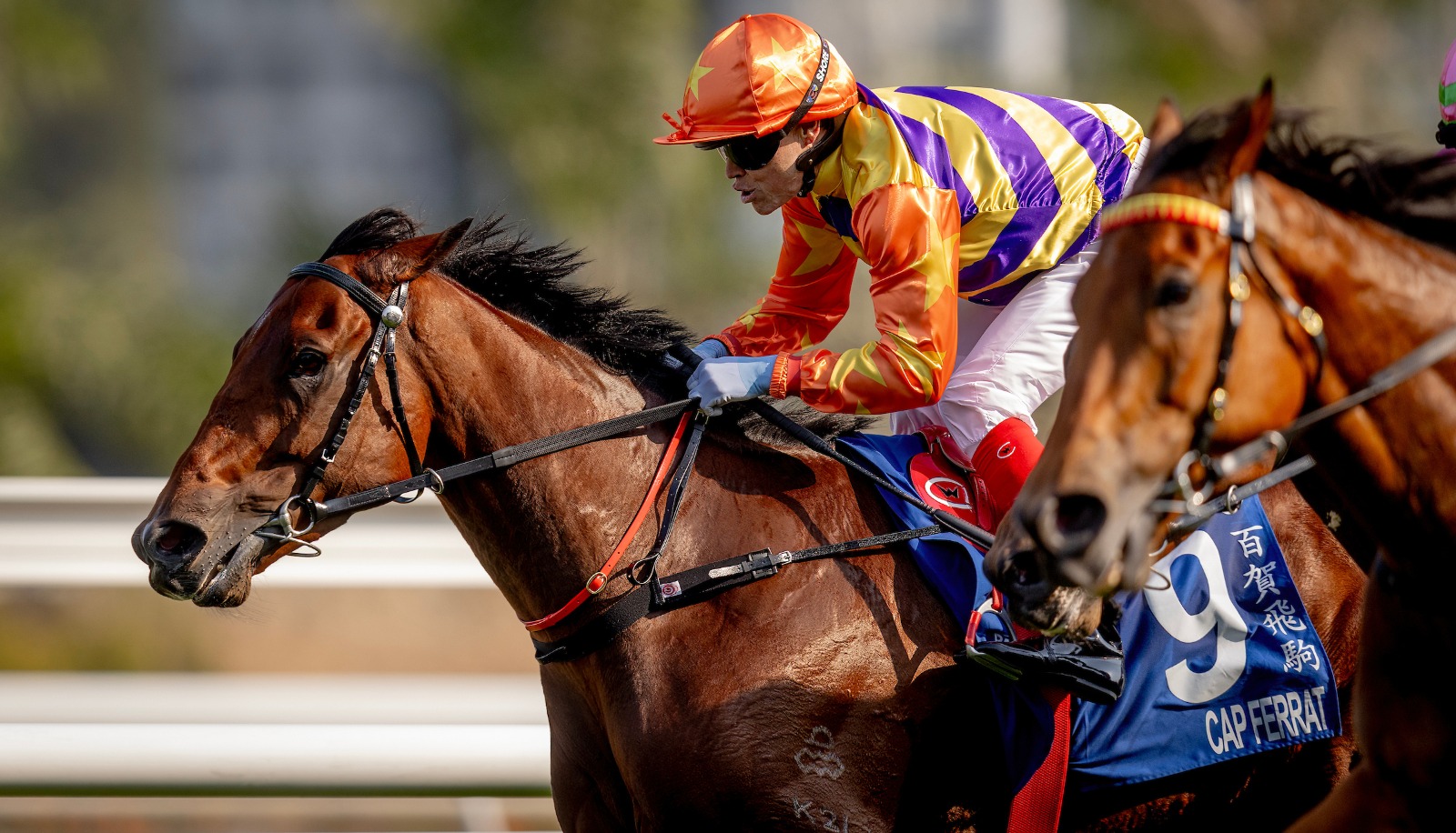 Zac Purton aboard Cap Ferrat preparing for the Sa Sa Ladies’ Purse at Sha Tin Racecourse