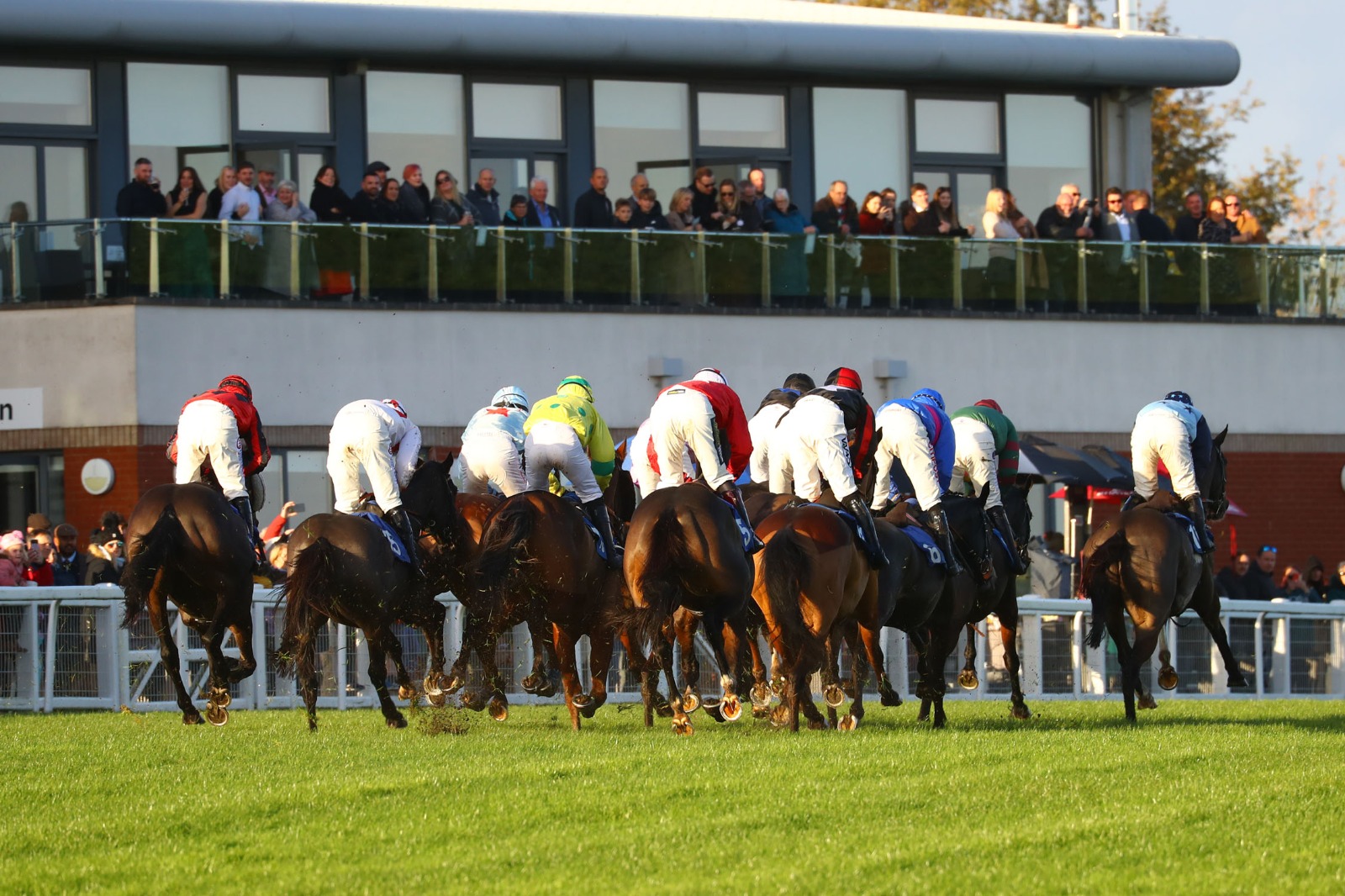Thistle Ask wins the Haldon Gold Cup at Exeter under Harry Skelton