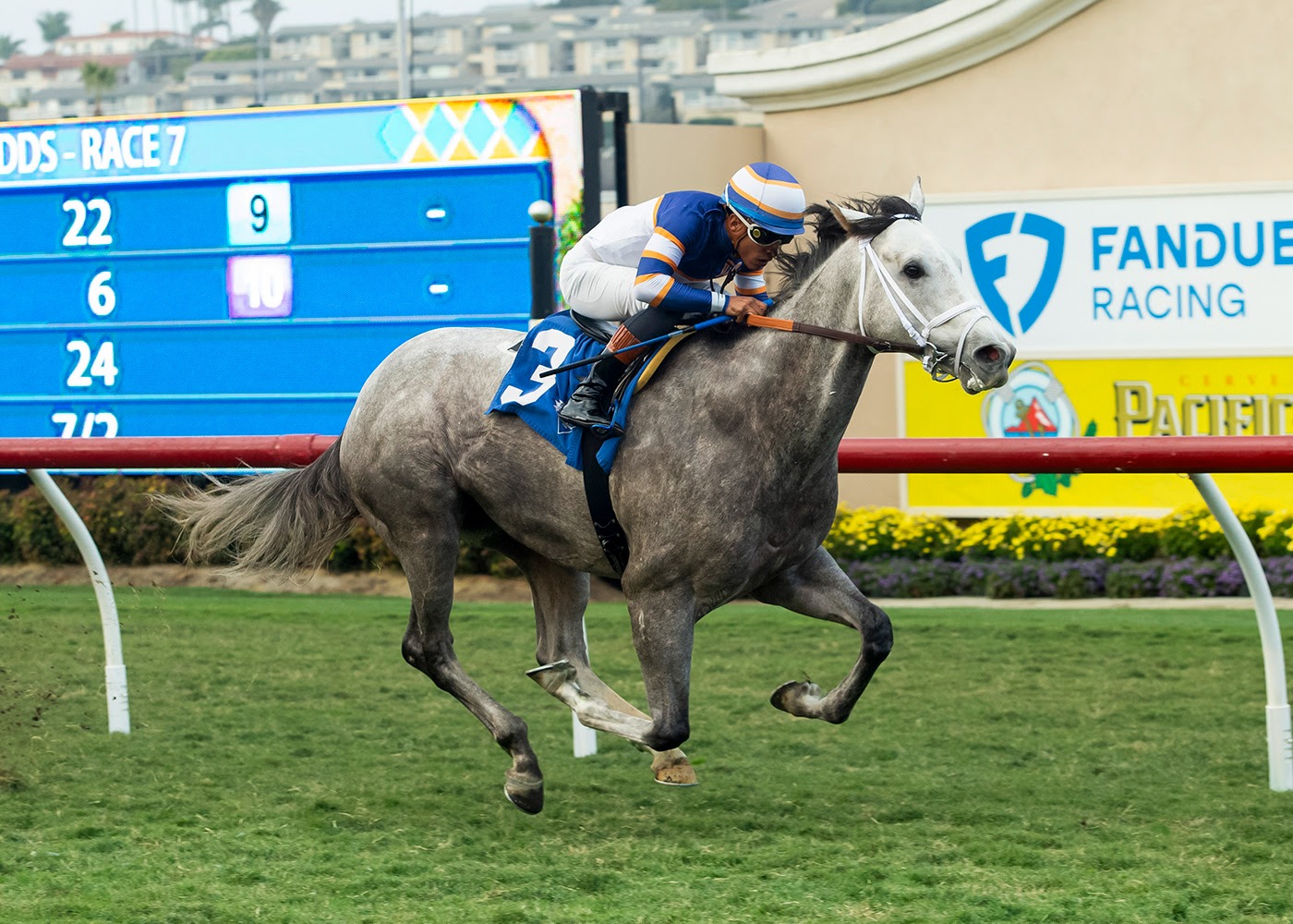 Titanic Thompson winning the turf allowance feature at Del Mar