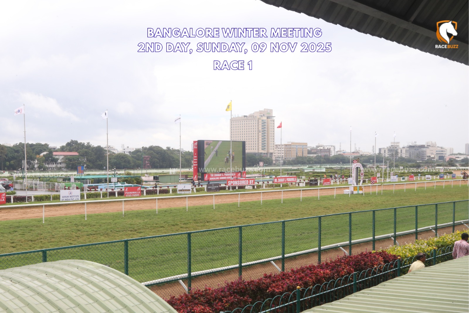 Rosaline wins The Jog Falls Plate Div II at Bangalore Turf Club
