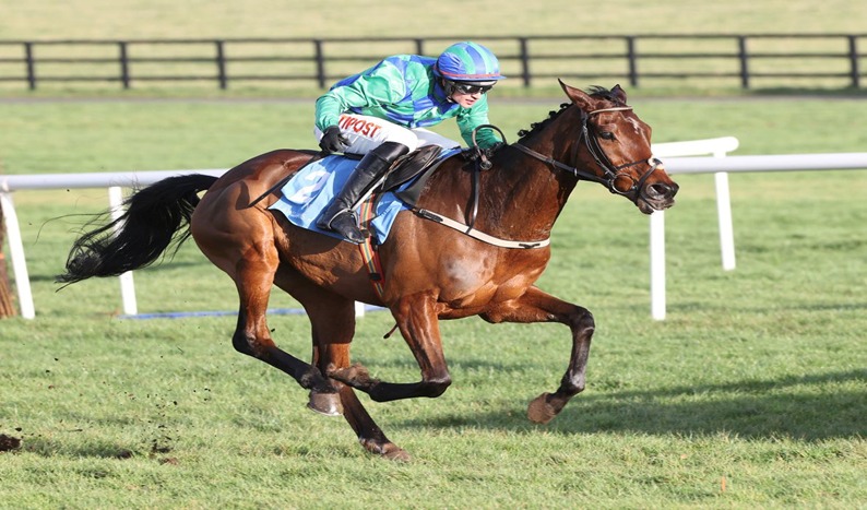 Naas Racecourse Preview November 9 — Irish jumps season racing action