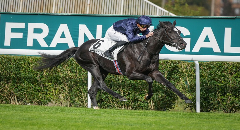 Horses racing at Saint-Cloud Racecourse during the November 9, 2025 flat racing meeting