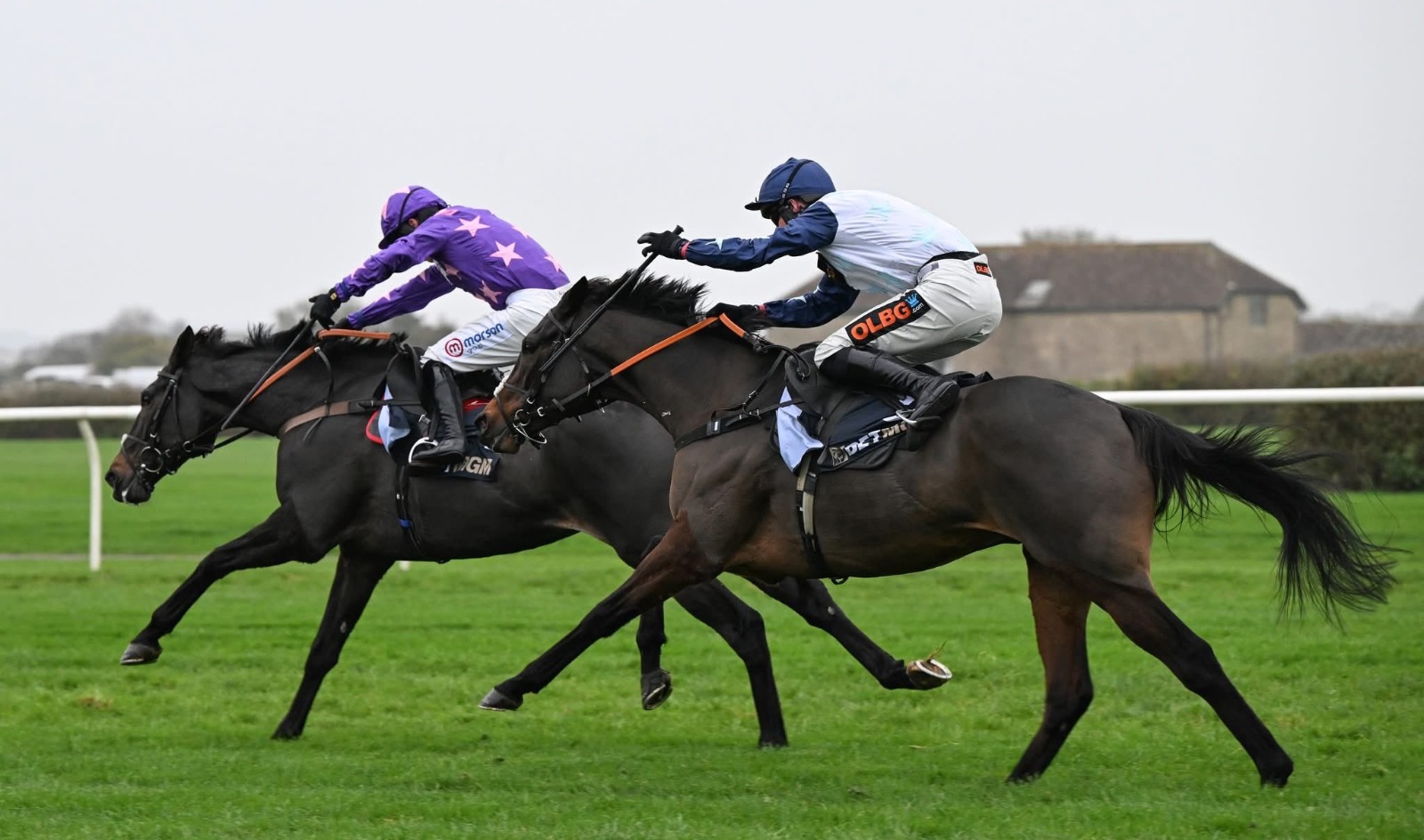 Blueking D’Oroux wins the Boodles Rising Stars Novices’ Chase at Wincanton for Paul Nicholls.