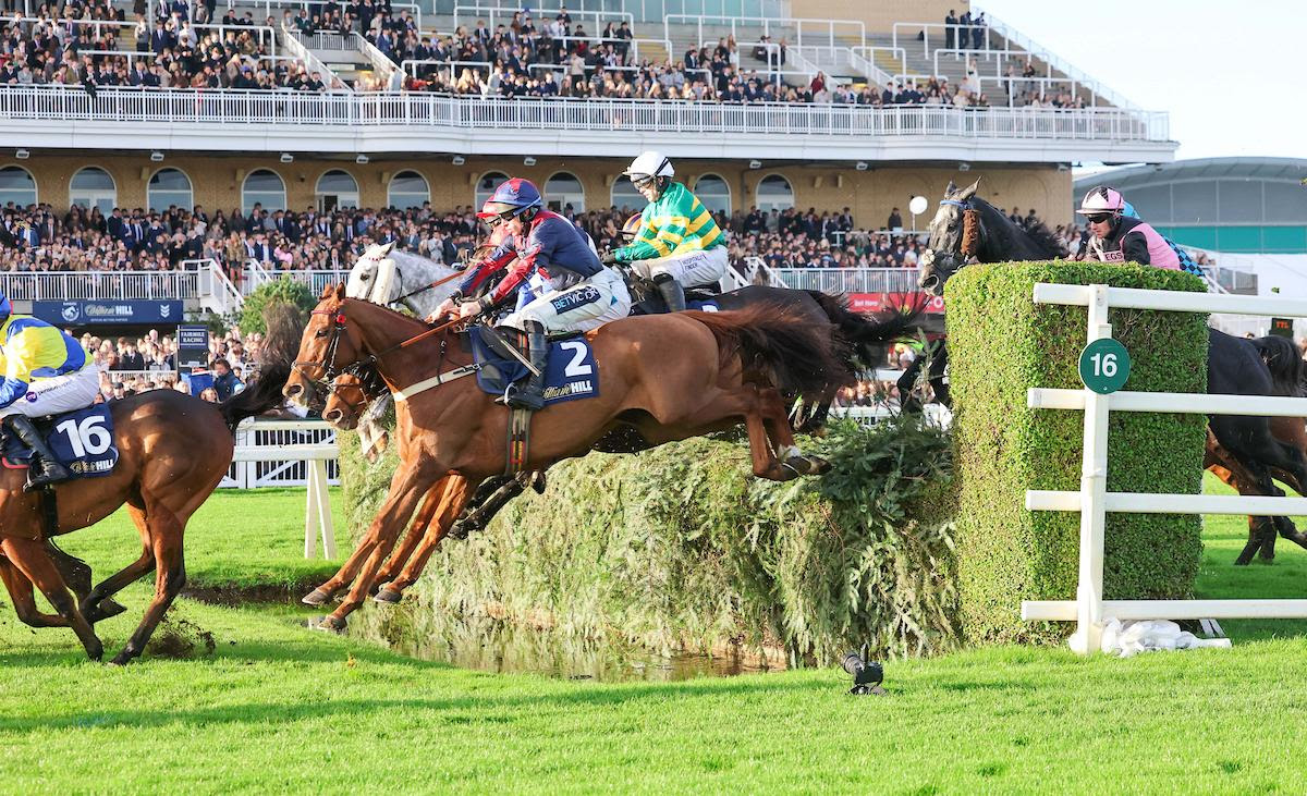 Colonel Harry Wins Grand Sefton Chase