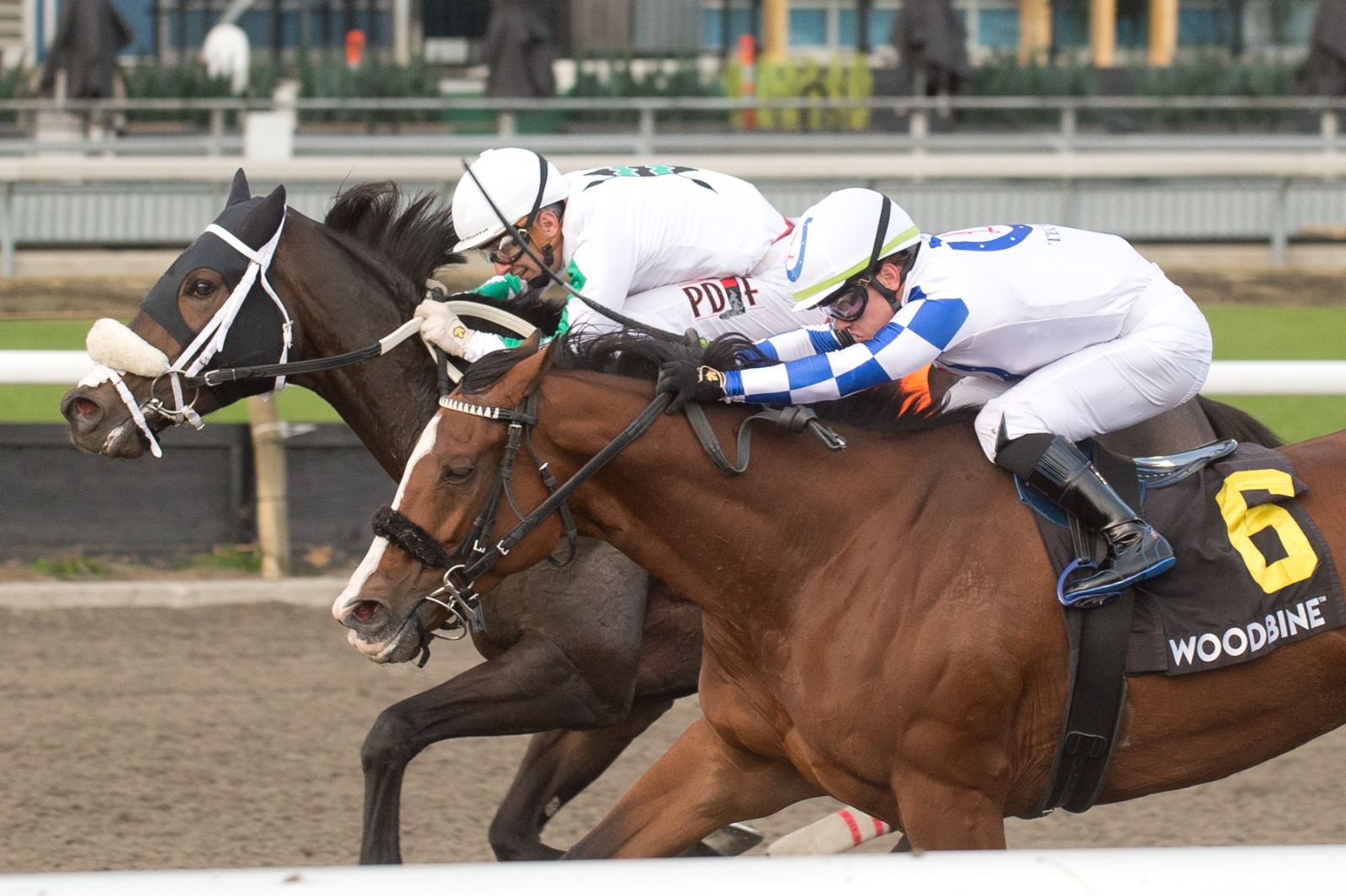 Sultana, Pondering, and Dresden Row win Grade 3 Stakes at Woodbine 2025